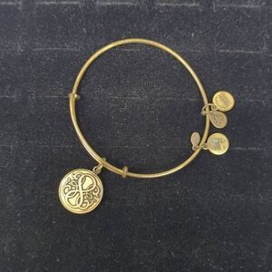 Alex and Ani Path of Life Charm Bangle Bracelet Antiqued Gold Tone Finish
